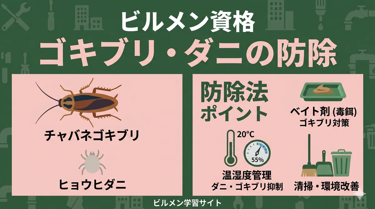 【ビル管理士・ねずみ昆虫】ゴキブリ・ダニの生態と防除法（チャバネゴキブリ・ヒョウヒダニ・ベイト剤・温湿度管理）