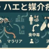 【ビル管理士・ねずみ昆虫】蚊・ハエ・その他の害虫と媒介疾病（アカイエカ・チカイエカ・トコジラミ・感染症の対応表）