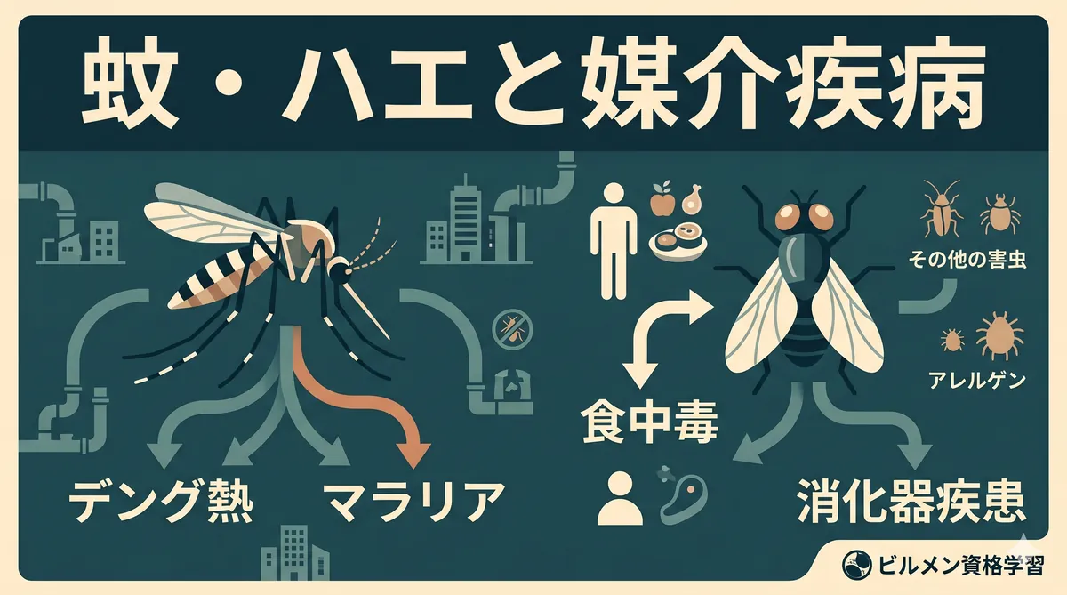 【ビル管理士・ねずみ昆虫】蚊・ハエ・その他の害虫と媒介疾病（アカイエカ・チカイエカ・トコジラミ・感染症の対応表）